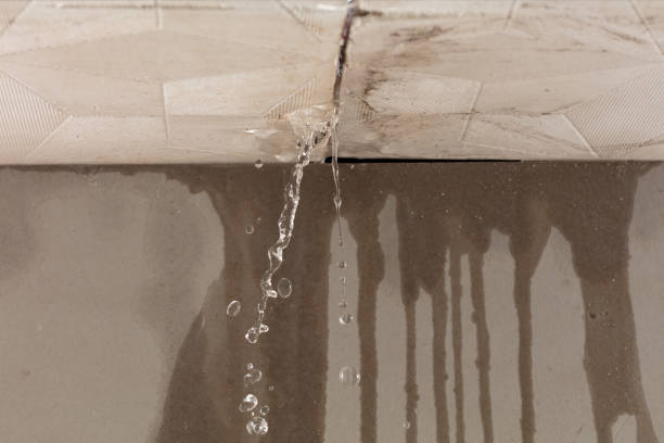 Professional Structural Drying technician working in Ixonia, WI